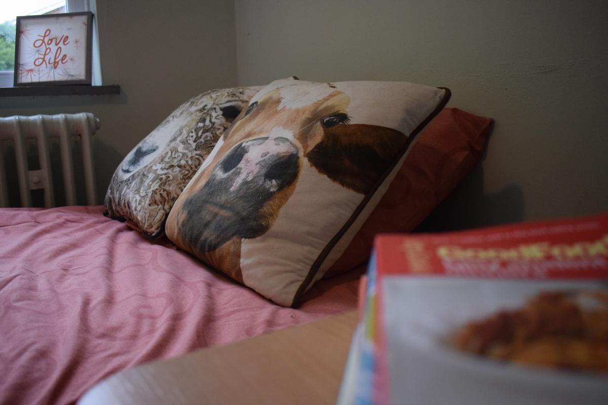 Hadlow_Cow_Pillow_Residential