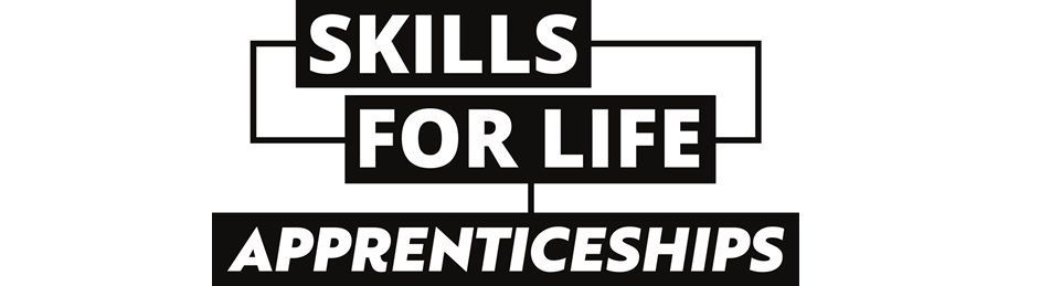 National Apprenticeship logo