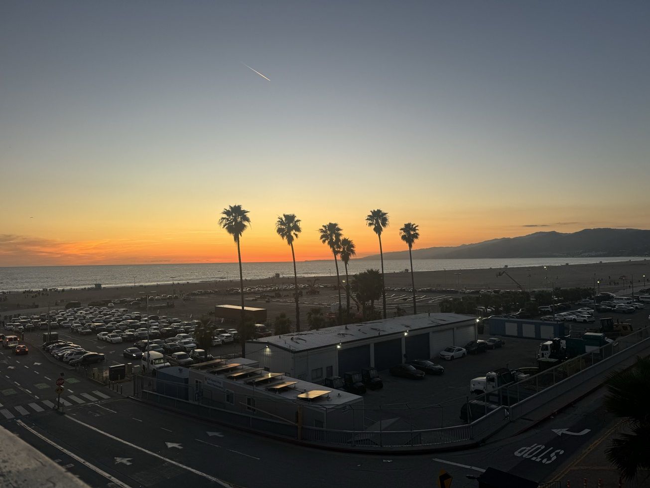 Panorama of sunset and trees at night